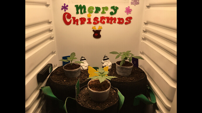Growreport Bild 11