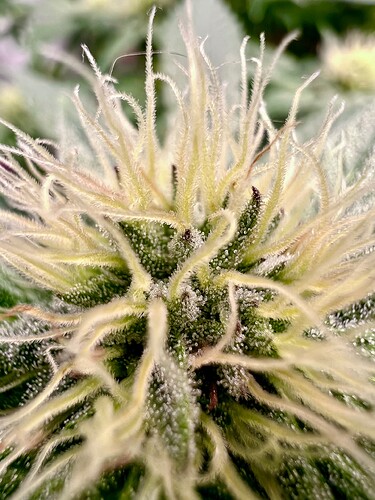 Growreport Bild 16