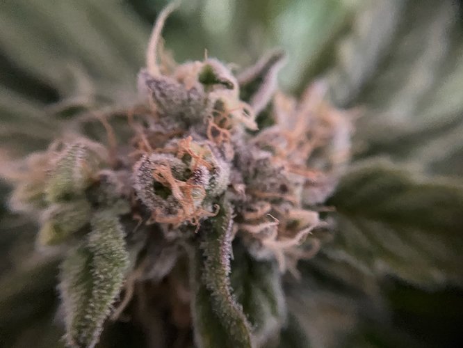 Growreport Bild 22