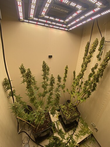 Growreport Bild 17