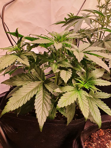 Growreport Bild 18