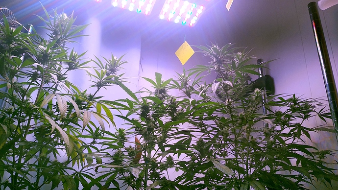 a_IMG_20200904_095307