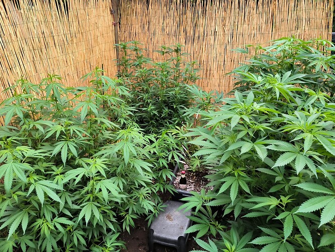 Growreport Bild 14