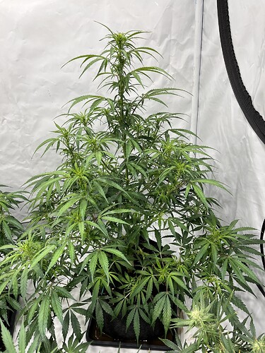 Growreport Bild 12