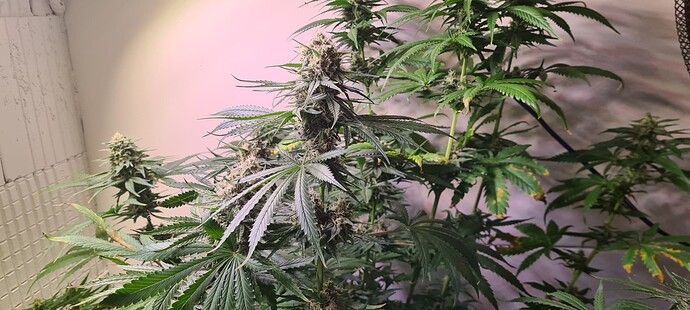 Growreport Bild 14