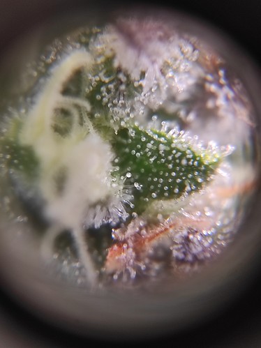 Growreport Bild 7