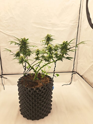 Growreport Bild 8