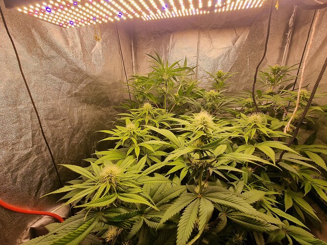 Growreport Bild 2