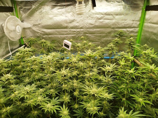 Growreport Bild 18