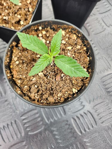 photo_2023-08-06_22-48-39