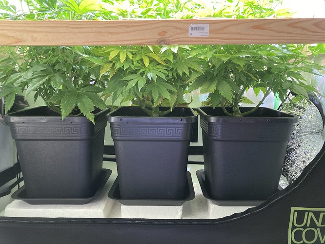 Growreport Bild 14