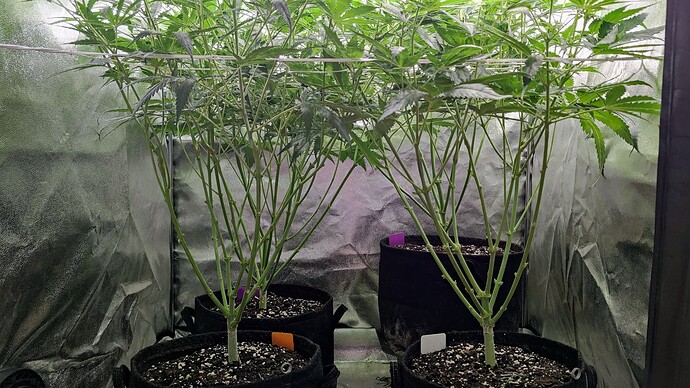 Growreport Bild 23