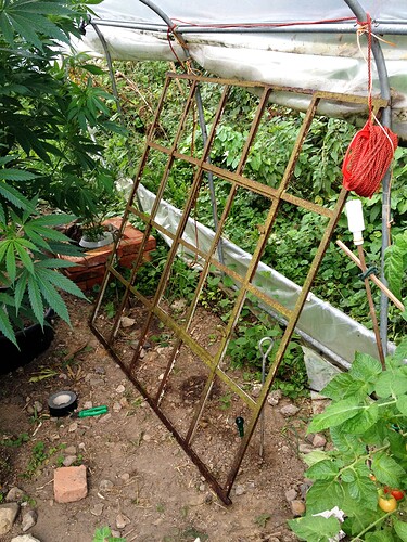 Growreport Bild 7
