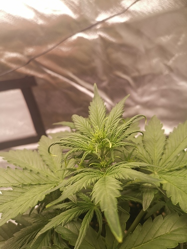 Growreport Bild 8