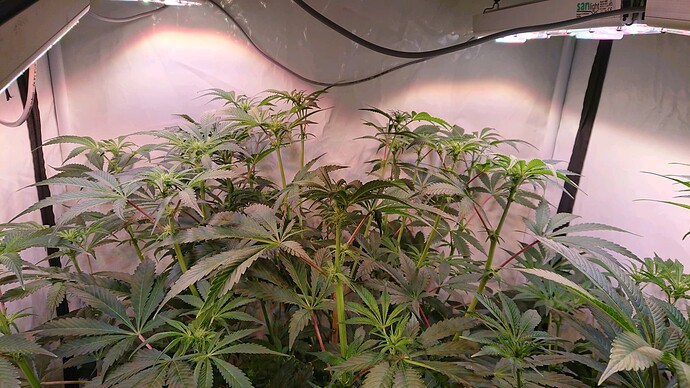 Growreport Bild 11