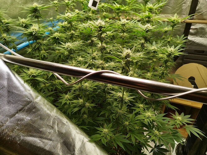 Growreport Bild 5