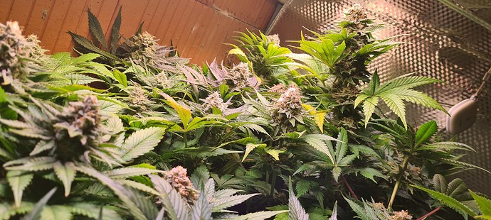 Growreport Bild 14