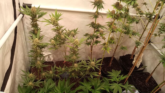Growreport Bild 9