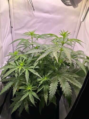Growreport Bild 8