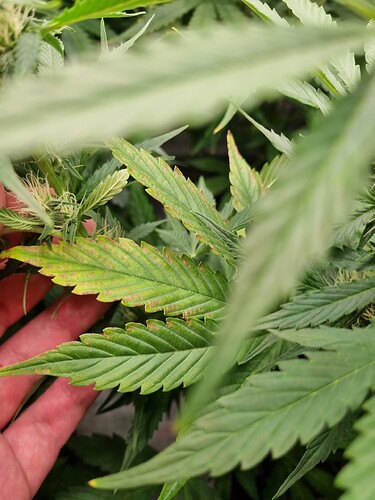 Growreport Bild 14