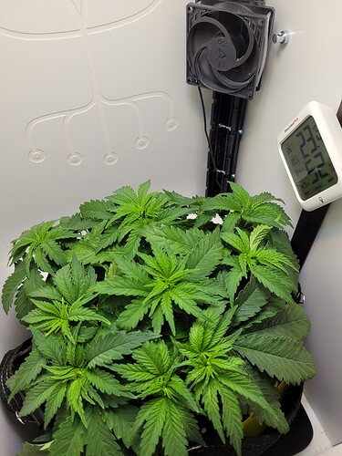 Growreport Bild 13