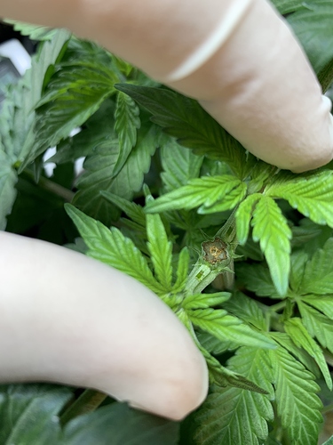 Growreport Bild 12