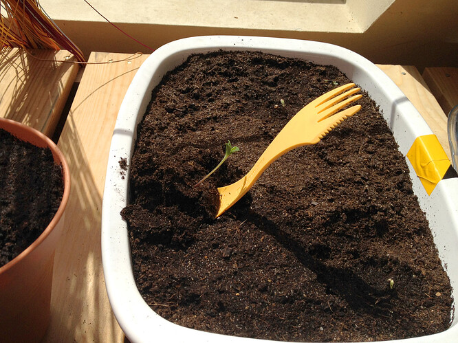 Growreport Bild 57