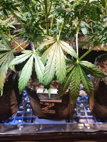 Growreport Bild 14