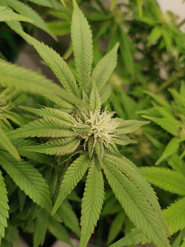 Growreport Bild 23