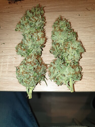 Growreport Bild 3