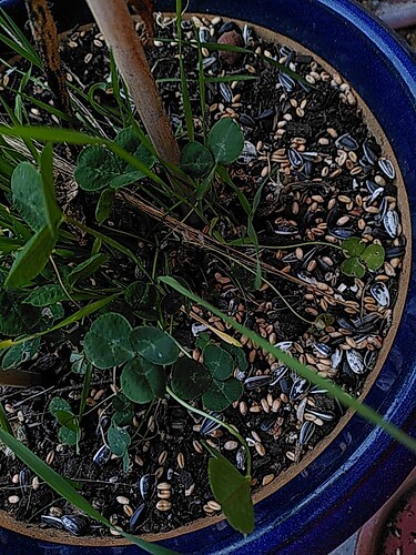 Growreport Bild 8