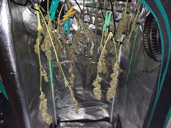 Growreport Bild 4