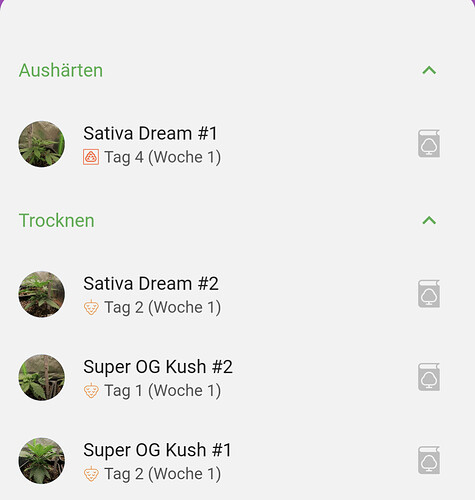 Growreport Bild 18