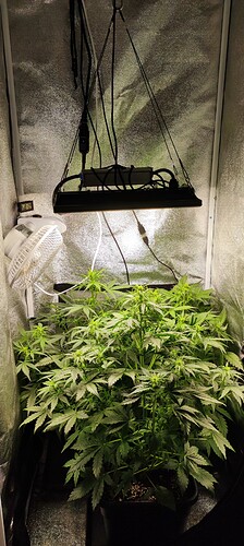 Growreport Bild 5