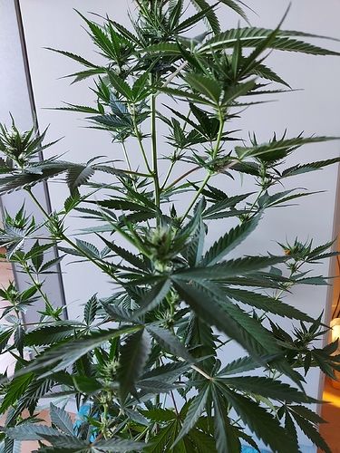 Growreport Bild 10