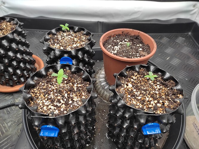Growreport Bild 11