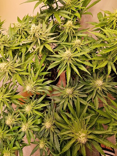 Growreport Bild 16