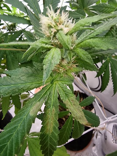 Growreport Bild 3