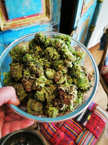 Growreport Bild 11