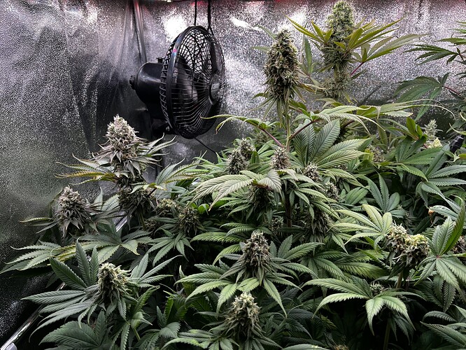 Growreport Bild 2