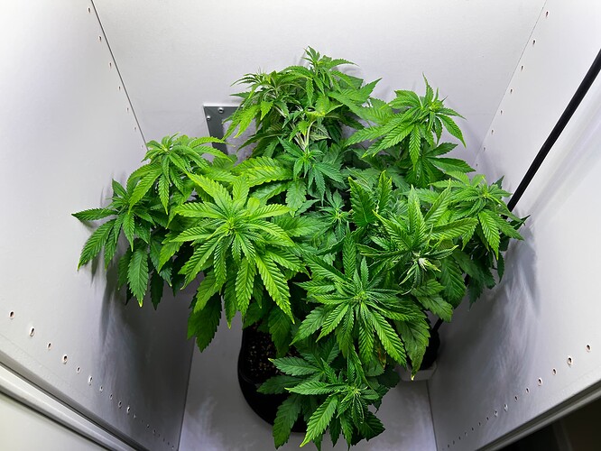 Growreport Bild 12