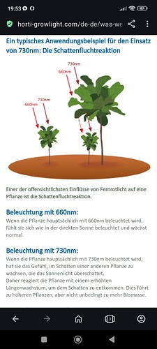 Screenshot_2023-12-05-19-53-39-262_com.opera.browser