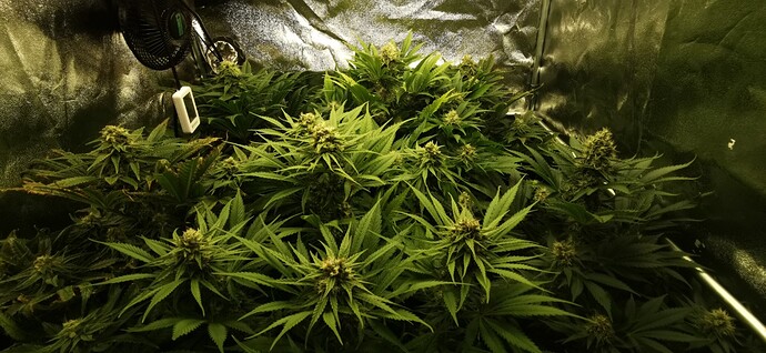 Growreport Bild 18