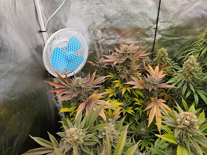 Growreport Bild 9