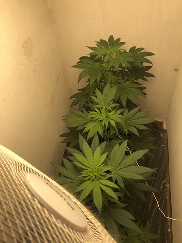 Growreport Bild 7