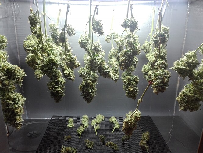 Growreport Bild 1