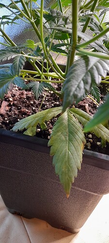 Growreport Bild 11