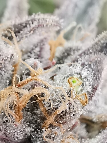 Growreport Bild 11