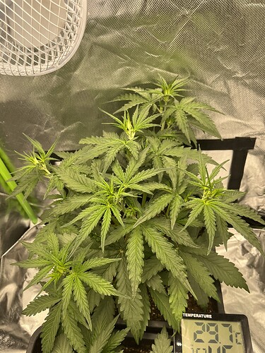 Growreport Bild 11
