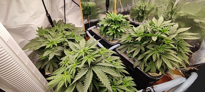 Growreport Bild 7